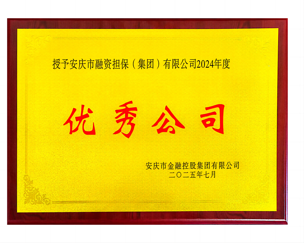 2024年度優(yōu)秀公司